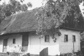 eika image